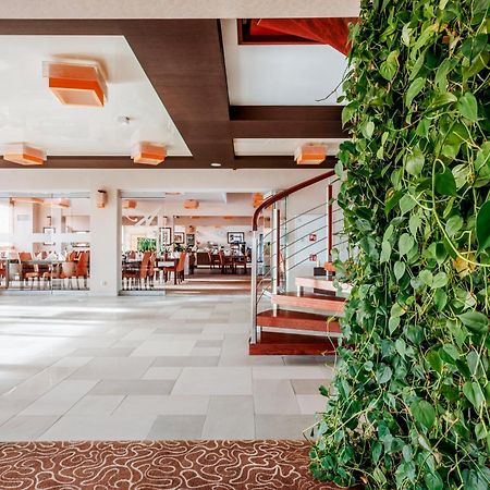 Hotel Amazonka Conference And Spa チェホチネク エクステリア 写真